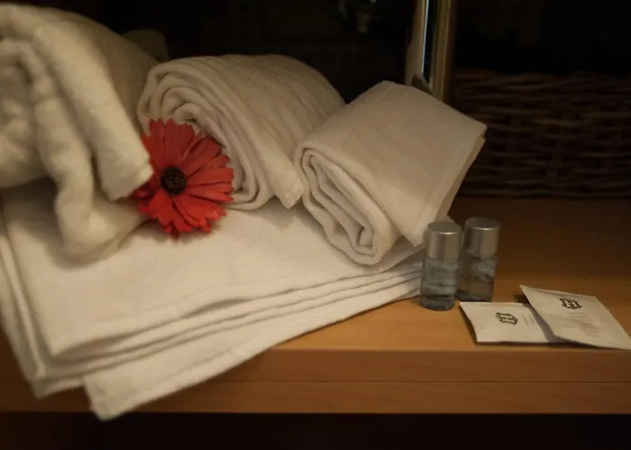 Pensjonat Davinci Relais Rzym